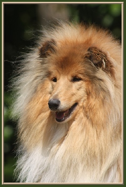 Girlie show du bois des amazones