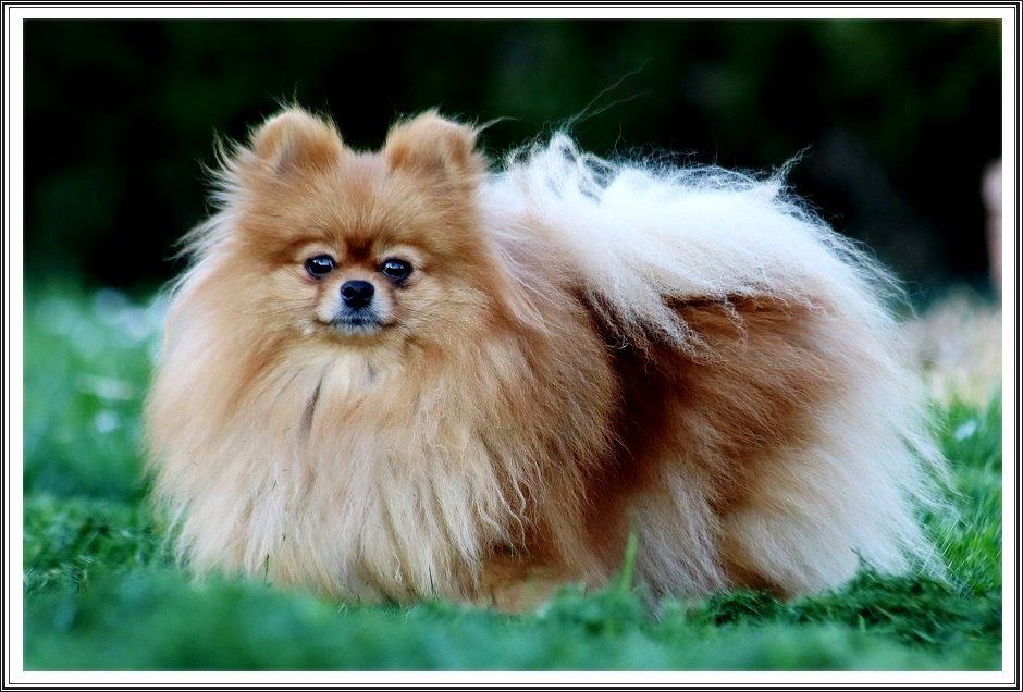 niksend Secret story