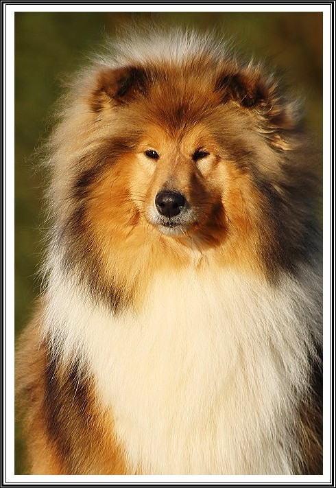 Truth or Dare du bois des amazones