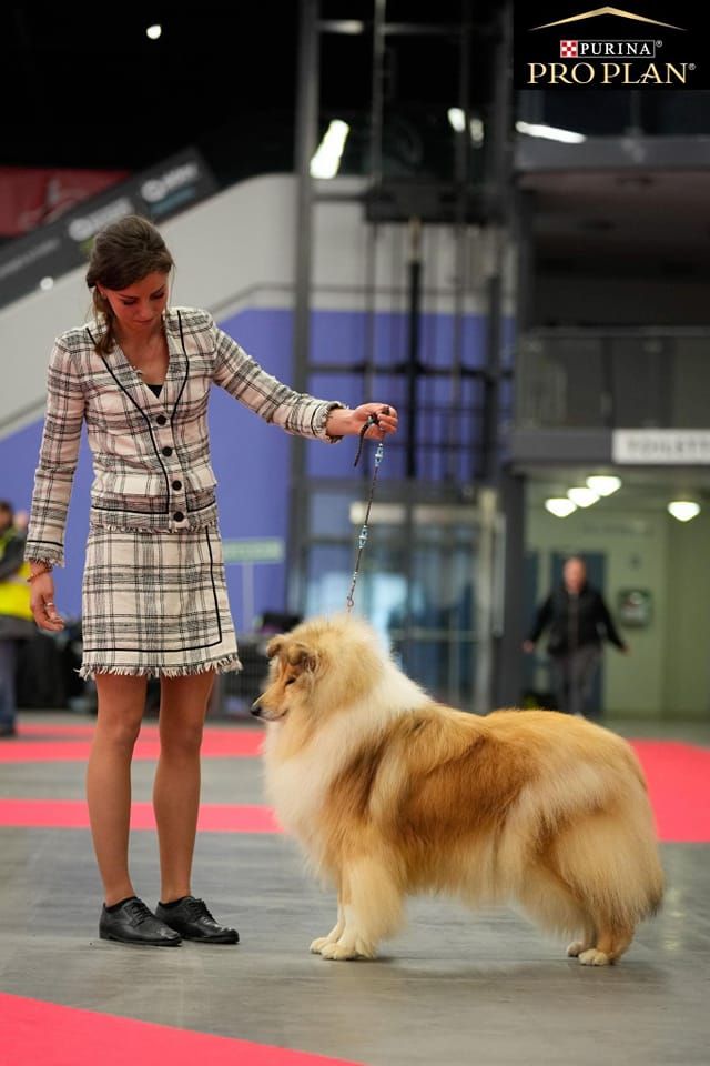 du bois des amazones - Lady Championne de France !!!