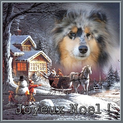 du bois des amazones - Joyeux Noel