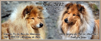 du bois des amazones - les amazones en Corse !!!!