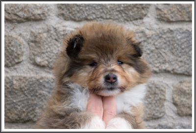 Attitude Rock N Roll